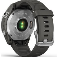 Смарт-часы Garmin fеnix 7S Silver with Graphite Band 010-02539-01
