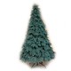 Фото Новогодняя елка искусственная литая Смерека пласт Premium 220 см Голубая Premium tree (blue) - 220