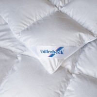 Комплект одеяло Billerbeck Магнолия 200х220 см + подушка Жасмин 50х70 см 0590-02/03-1590-01/57