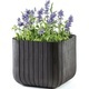 Фото Горшок для цветов Keter Cube Planter M черный 230225